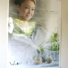 YOSA PARK 心花 ヨ　新潟市 秋葉区 yosa ヨサ よもぎ蒸し ダイエット YOSA PARK 心花 ヨサパークココカ