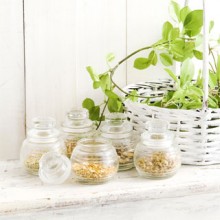 YOSA PARK 雲母　新潟市 ヨサパーク キララ yosa ヨサ 東区 よもぎ蒸し ダイエット YOSA PARK 雲母 