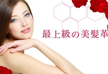 Fuel フューエル　新潟市 西区 美容室 ディアリーブロー 縮毛矯正専門店　ヘッドスパ クリームバス 抜け毛 薄毛 肩こり Fuel フューエル